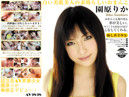美しい花弁満開-6000K