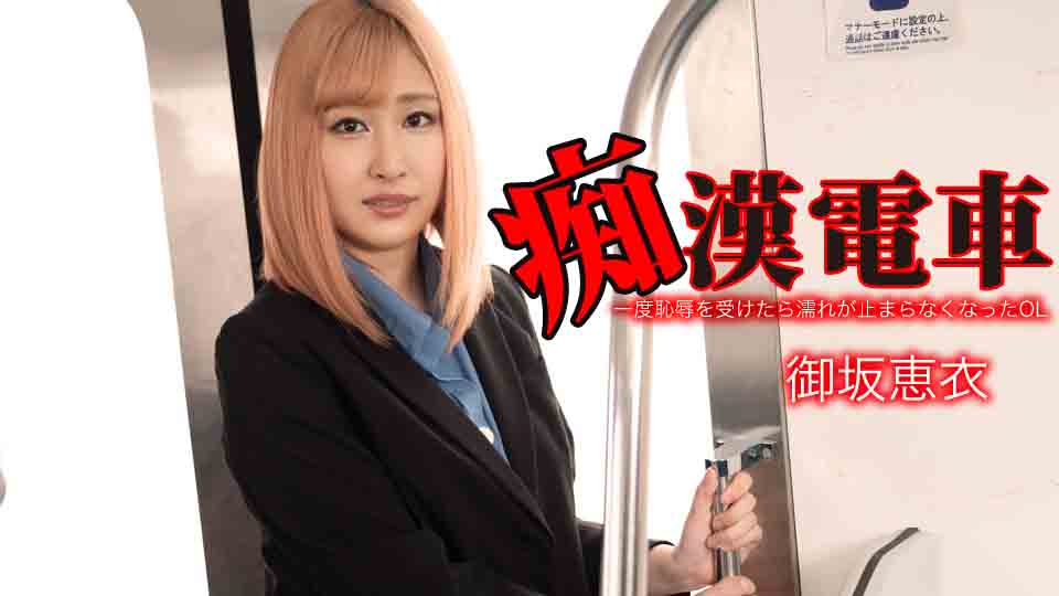 痴0電車 〜一度恥辱を受けたら濡れが止まらなくなったOL〜