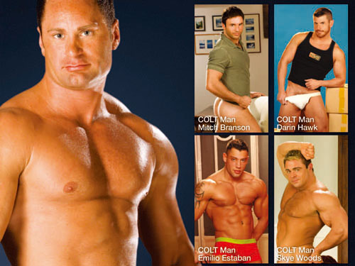 Colt_Massive