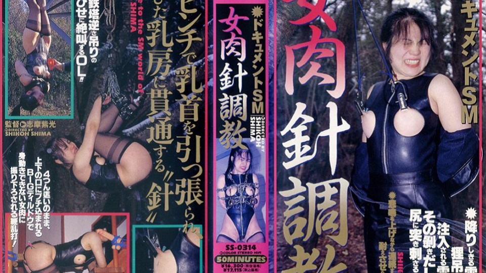 ドキュメントＳＭ 女肉針奴隷